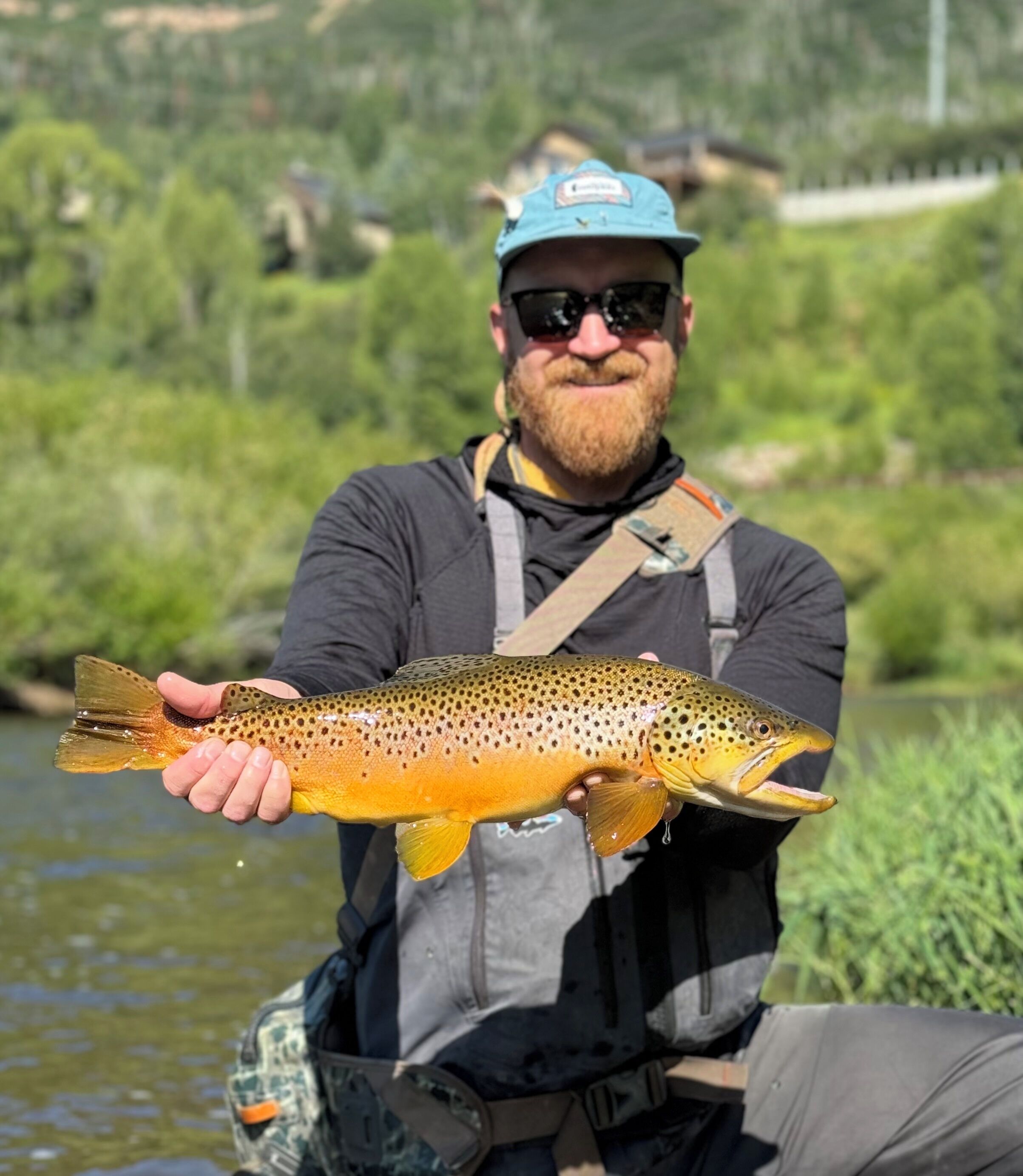 Host profile image