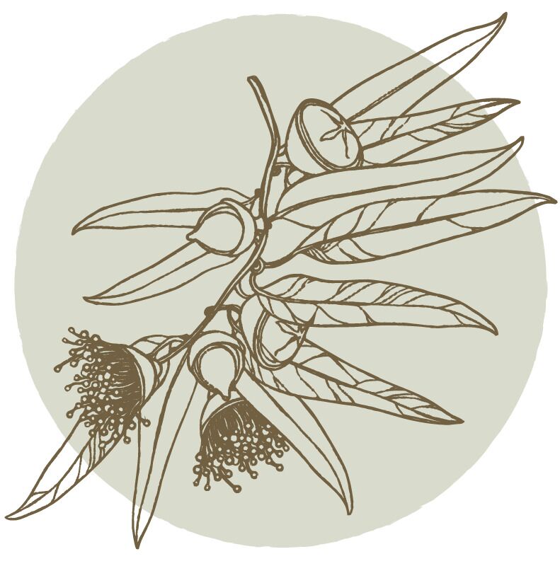 Host profile image