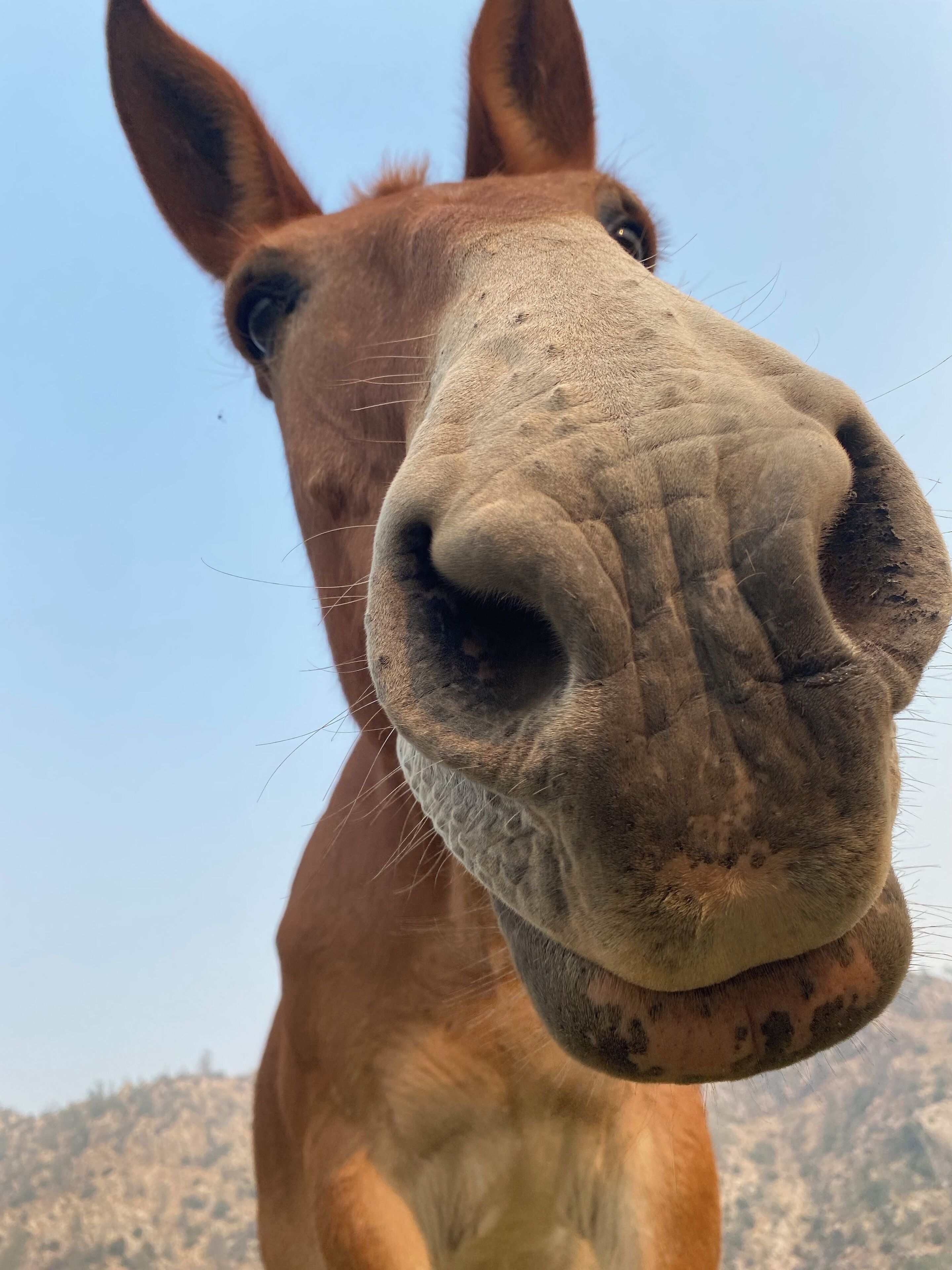 Host profile image